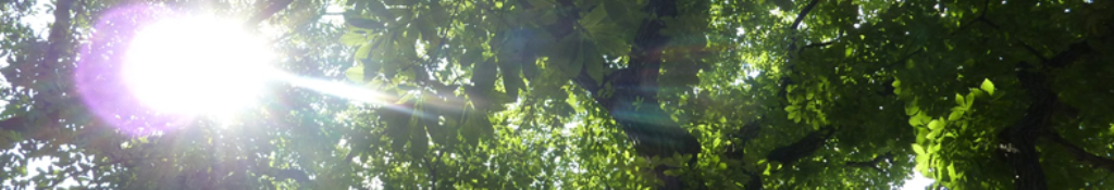 ウィーミーについて調べてみましょう。