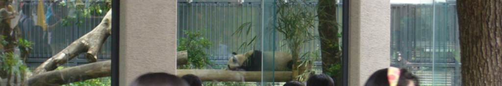 ブラボーブラのニュースがあります