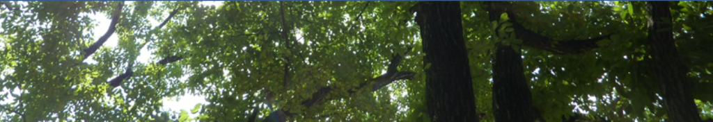 すみずみ消しゴム、知っておきたい情報。