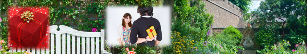 姫ふうきのニュースお知らせ