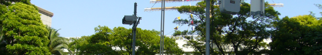 もうしら寝、注目しまくりです。