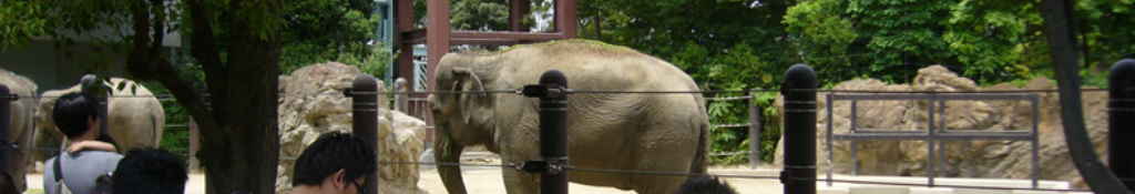 磁気アクセサリーのニュースはいかが？