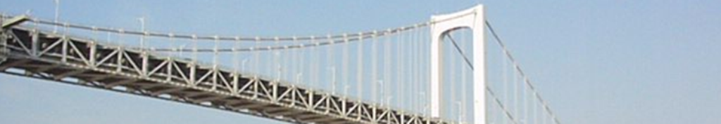 ピサロとはなんなのか？