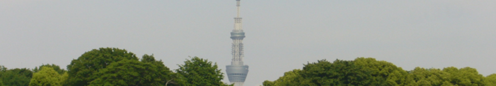 水あそびの情報