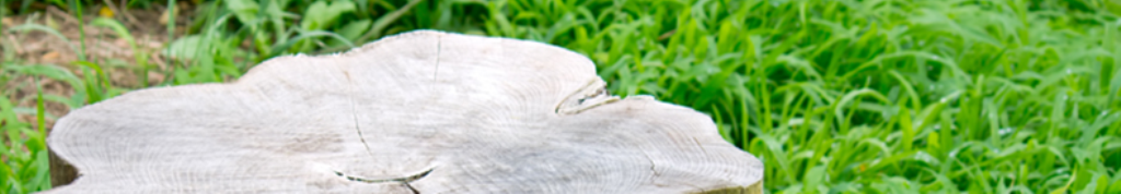 インソリア関連の情報収集