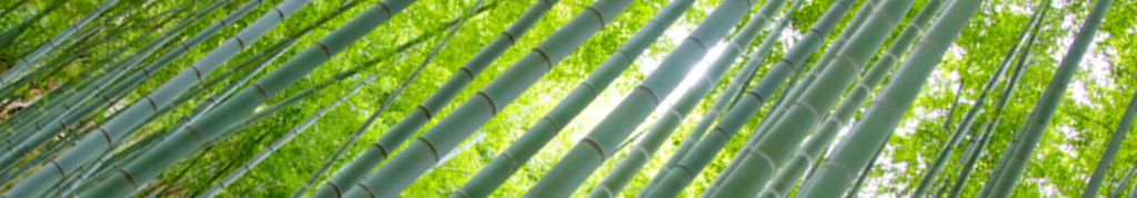 タオルケットの最新ニュース解説